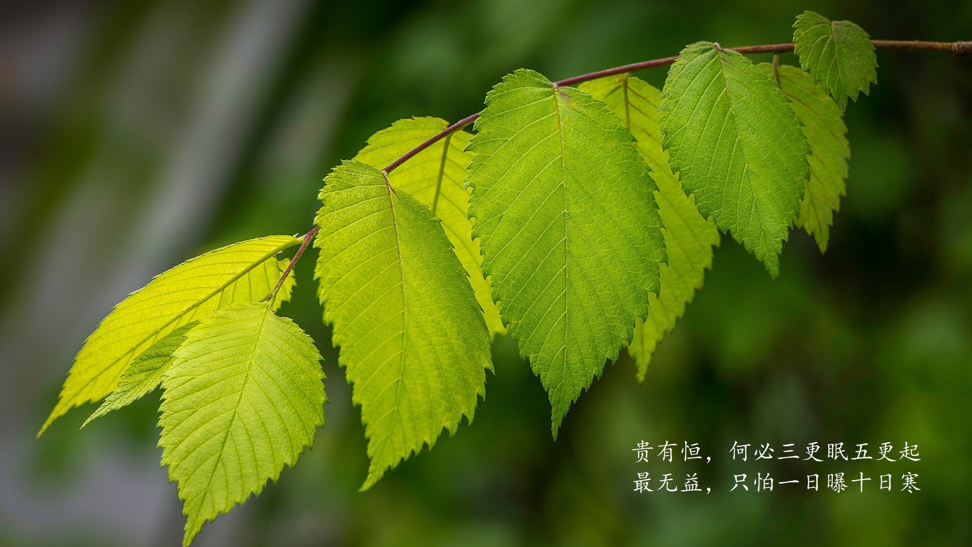 kaiyun中国官方网站-腾讯电竞赛事促进地区电竞产业发展，腾讯公布6款游戏电竞计划