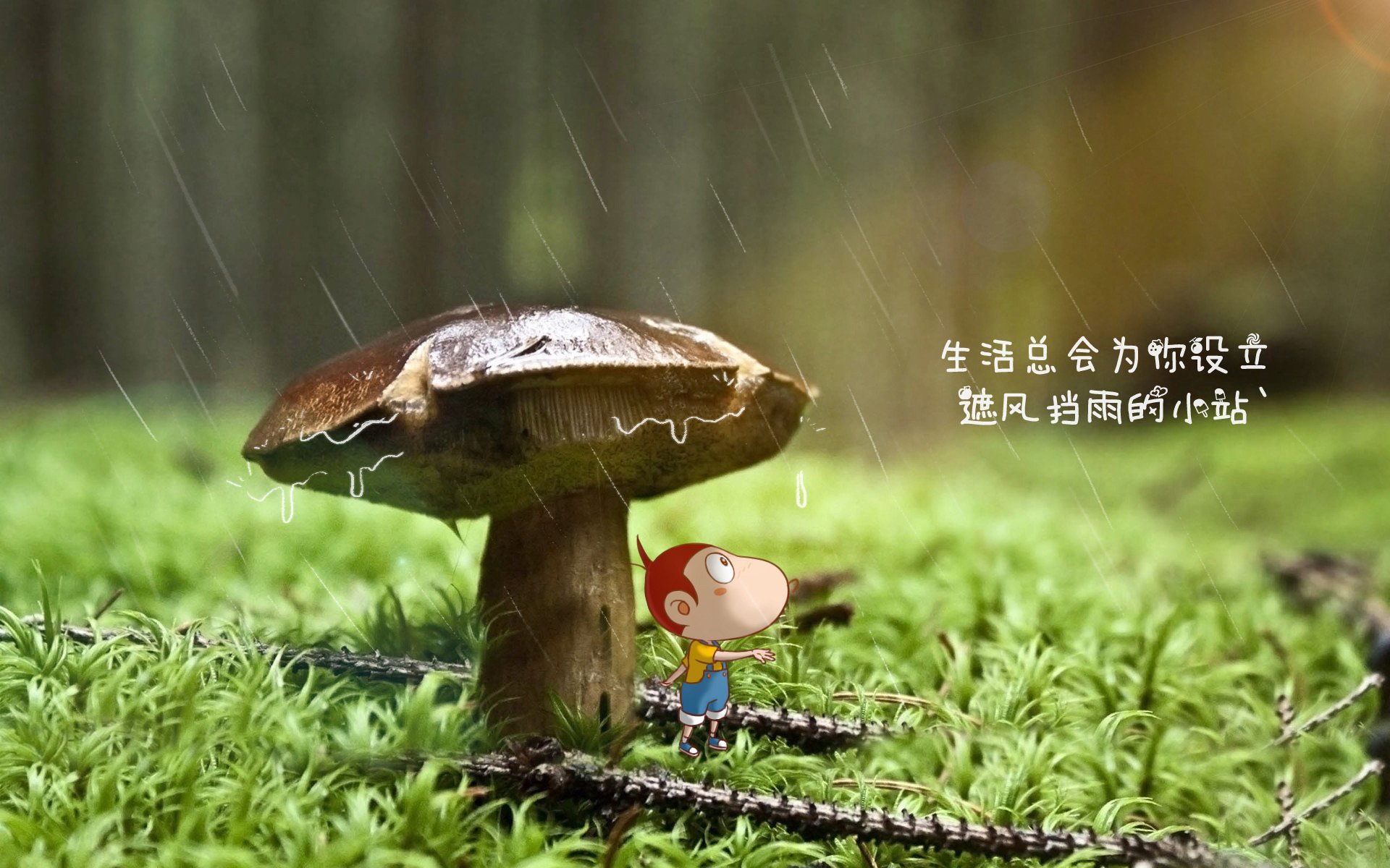 _热火防守如铁，连续赢得胜利_，热火队防守