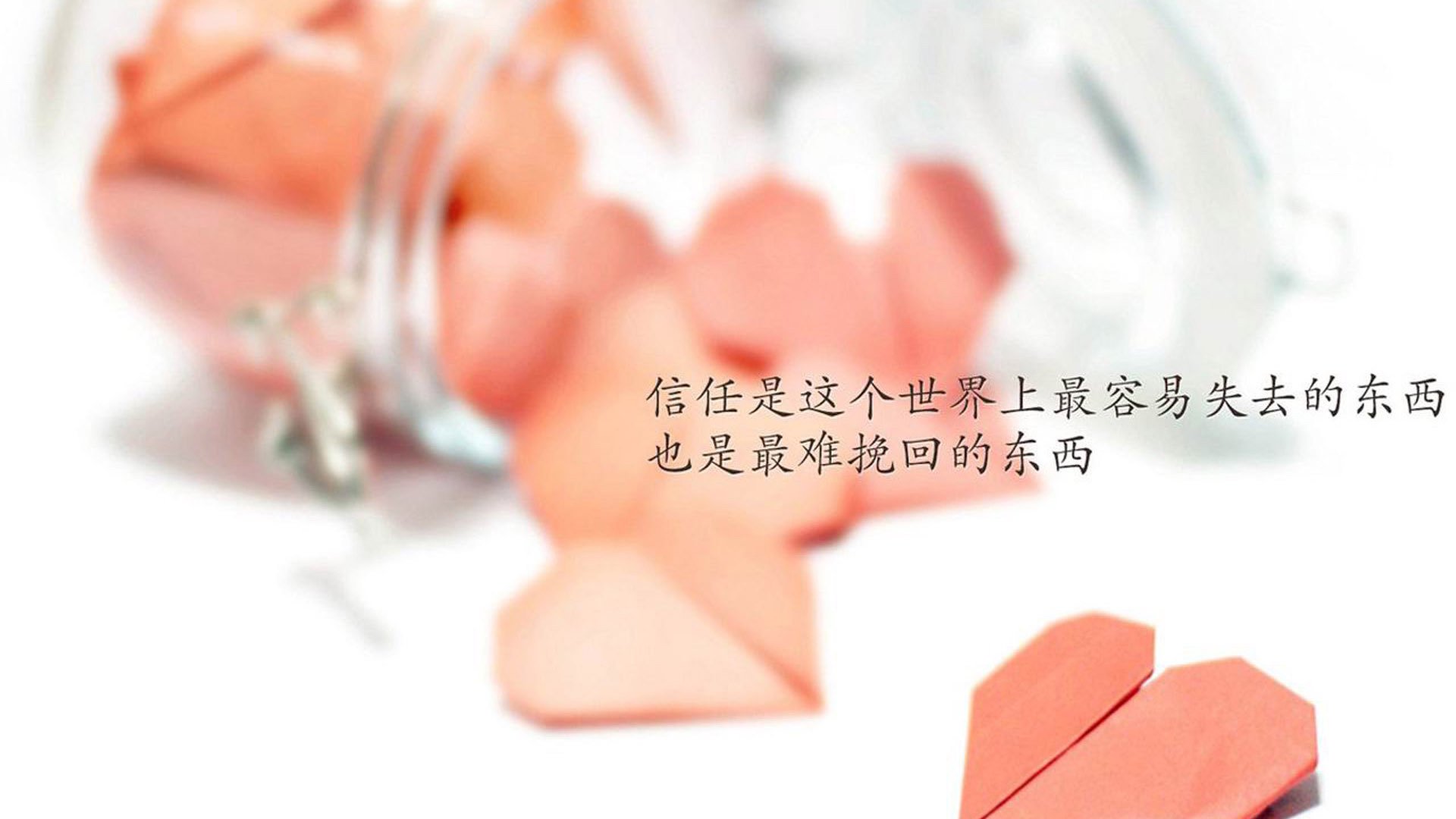 《顶级战队经理揭秘：打造冠军战队的幕后故事》，顶尖战队