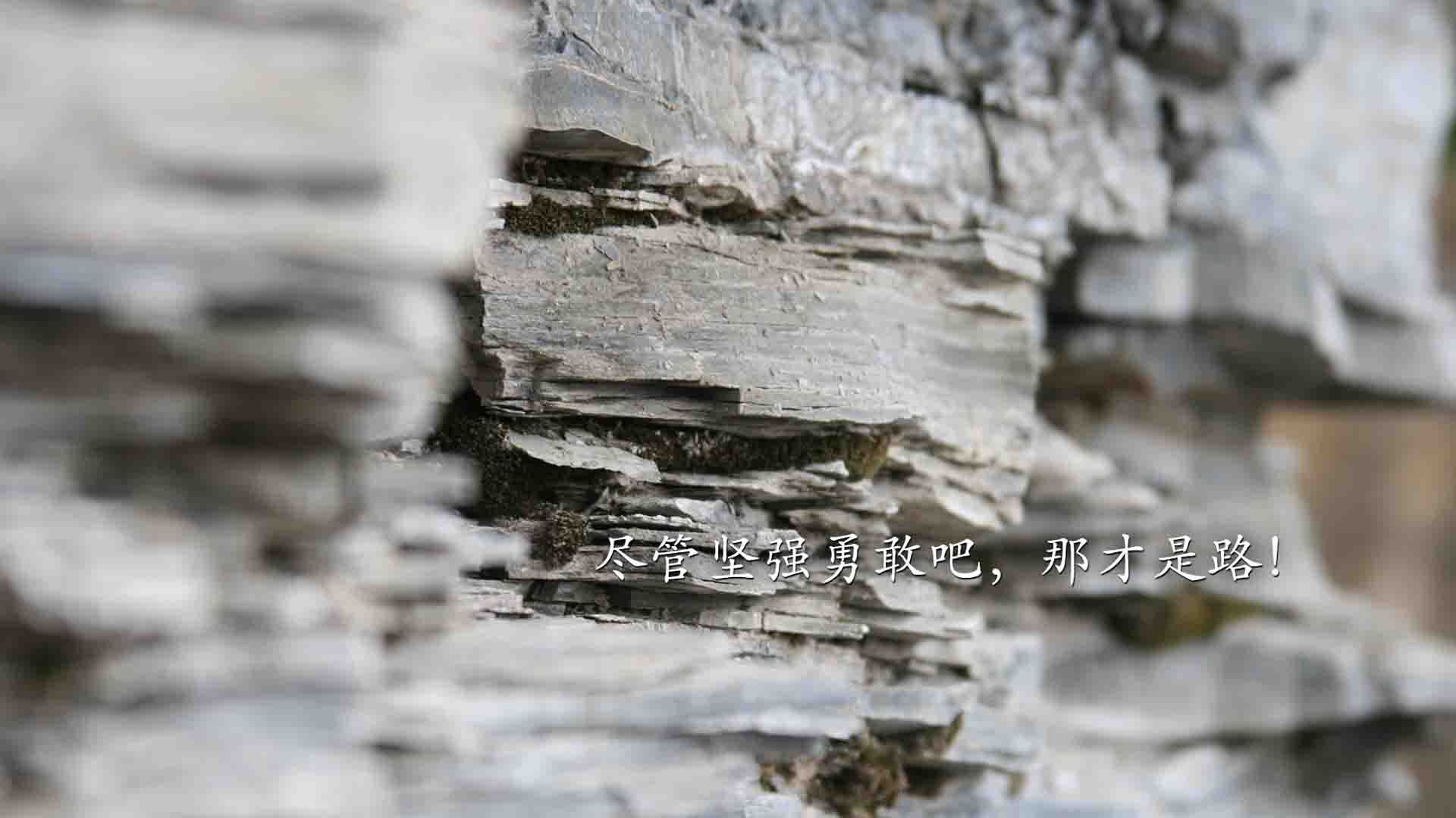 坦克世界“终极坦克赛”群雄争霸，坦克对决火爆升级