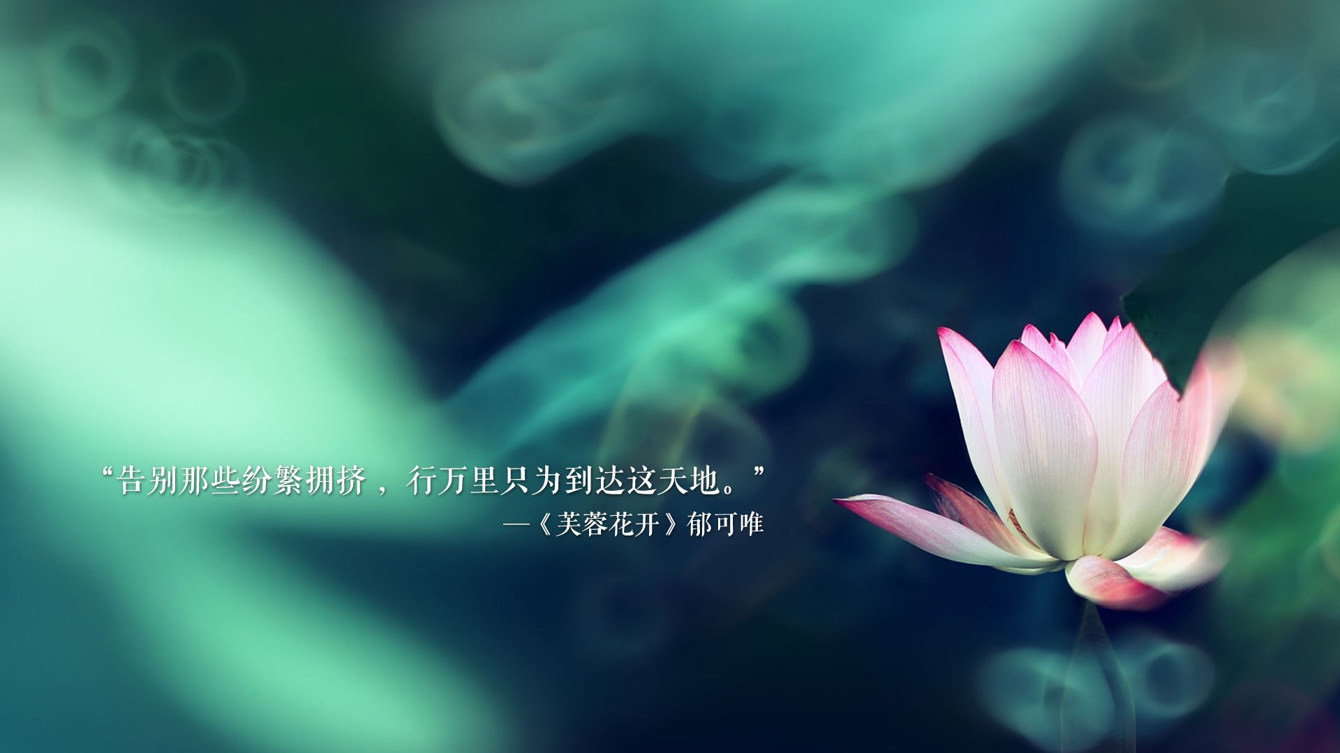 体育新闻中心发布国家级教练员公开选拔时间安排，2020年国家级教练员