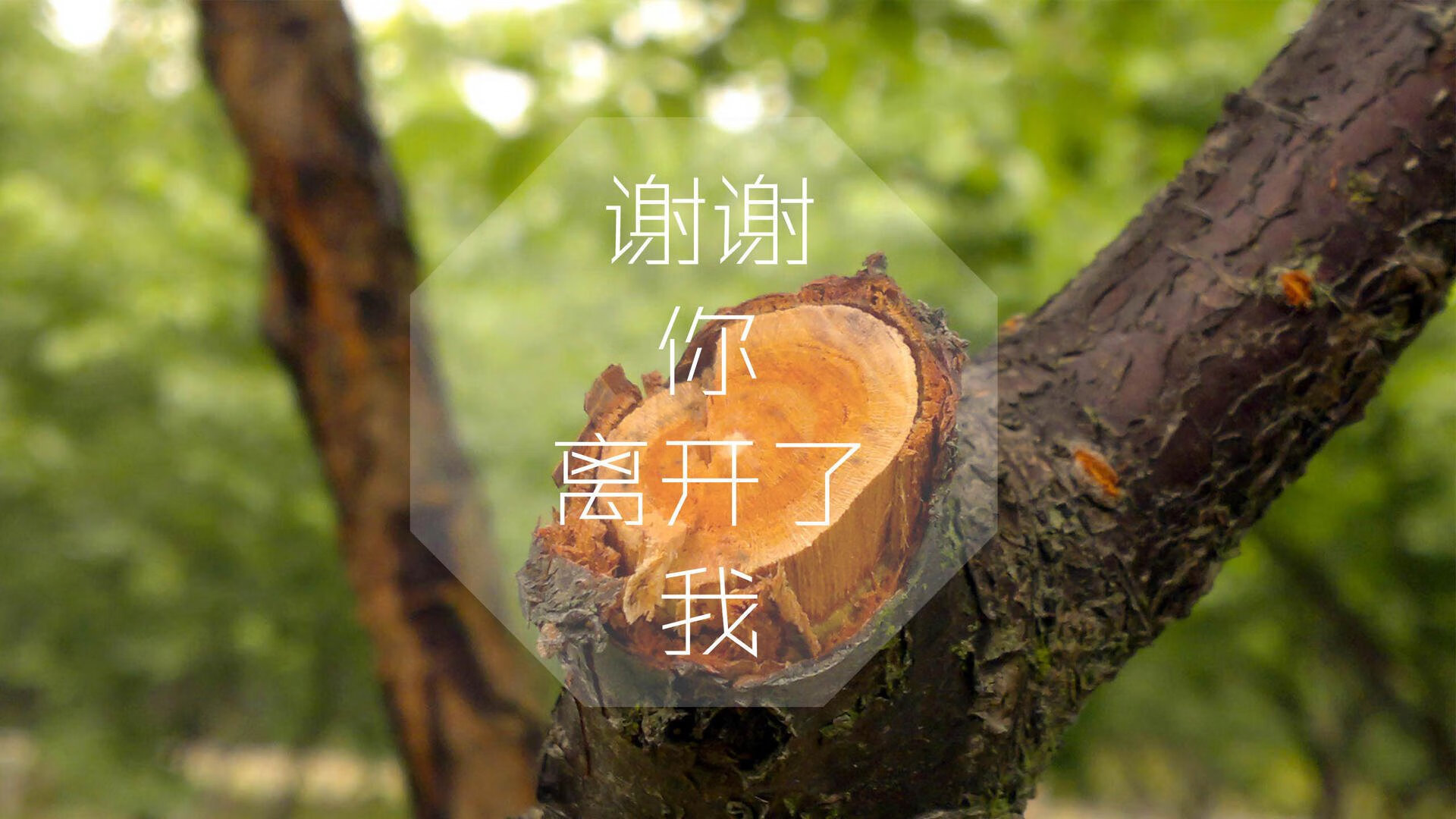 开云平台-科斯赛后分享备战心得与突破经验，科赛斯用法